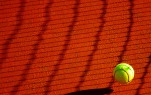 tennis6.jpg